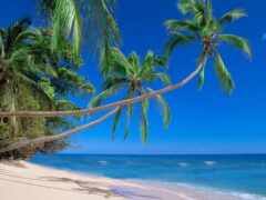 остров, Фиджи, пляж