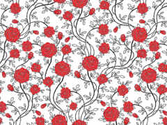 закрытие красной розы на белом фоне