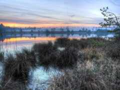 есть озеро с несколькими маленькими кустами в нем