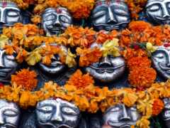 есть много масок, которые выставлены с цветами