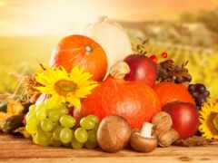 осень, фрукты, урожай