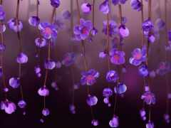 фиолетовые цветы, свисающие с потолка в комнате