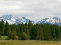 горы вдали с лошадью, пасущей в поле