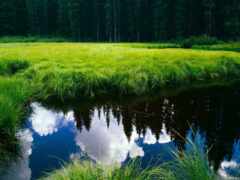 красивые, природы, девушек