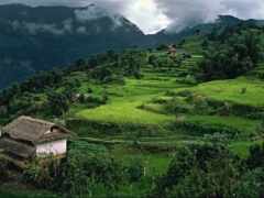 nepal, country