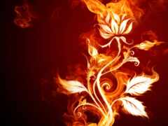 огонь, цветы, пламя