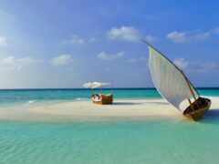 maldive, back