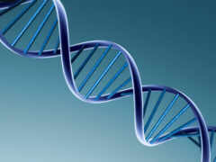 человека, геном, генов