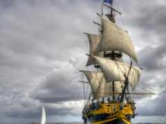 море, море, гермафродит