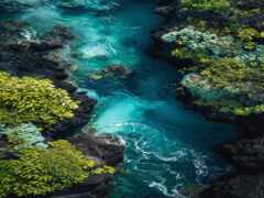 вид с воздуха на реку, протекающую через пышный зеленый лес