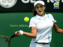 mirza, сания, теннис No 115891 Разрешение 1024x768