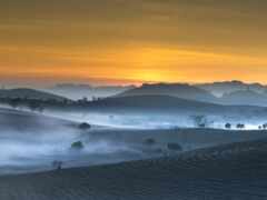 туманный пейзаж с несколькими деревьями и холмами вдали