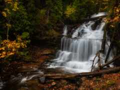 водопад в лесу с упавшими деревьями и опавшими листьями