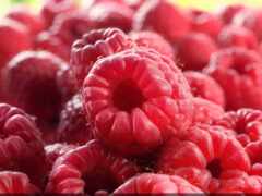 закрытие груды малины, сидящей на столе