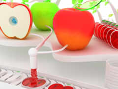 есть много яблок, которые подключены к компьютерной клавиатуре