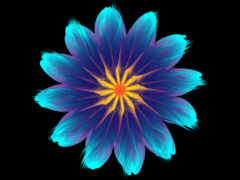 закрытие голубого цветка с желтым центром