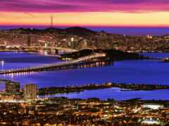 вид на город ночью с мостом и водоемом