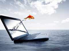 ماهی, ноутбук