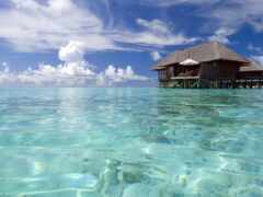maldives, натуральные