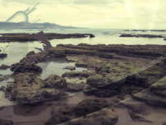 есть фотография человека, летающего на змее на пляже