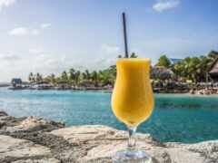 есть стакан апельсинового сока, сидящий на скале у воды