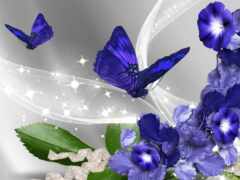 цветы, бабочка, фиолетовый