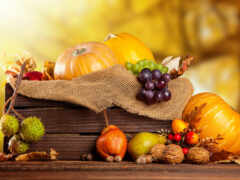 осень, урожай, фрукты