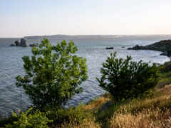 фото, пляж, море