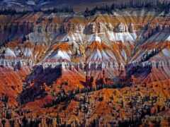 женские каньоны красно-белых цветных скал с деревьями