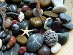 камни, макро, морские