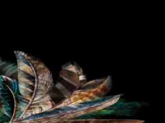 есть много перьев, которые лежат на столе