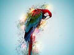ярко окрашенный попугай, сидящий на ветке с голубым небом на заднем плане