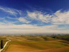 wiele, пейзаж, tuscany