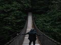 араф пересек подвесной мост в лесу с человеком, стоящим на нем