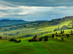 женский вид на зеленый холмистый пейзаж с церковью на холме