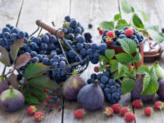 виноград, фиг, ягода