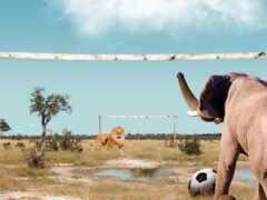 слоны и лев играют в футбол на поле