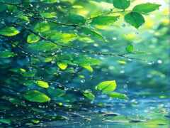 есть изображение ветки дерева с каплями воды на ней