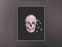 есть изображение черепа, сделанного из цветов на черном фоне