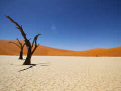 пустыня, намиб, песок