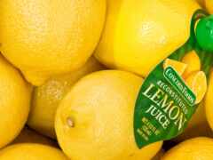 lemon, rangpur, cool