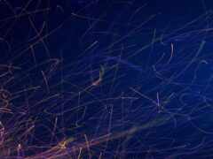 арафы длинношерстной травы освещены в темноте