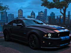 ford, mustang, shelby No 56291 Разрешение 1920x1200