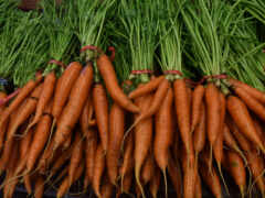 есть много моркови, которые представлены на рынке