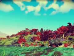 закрытие носорога в поле с деревьями и кустами