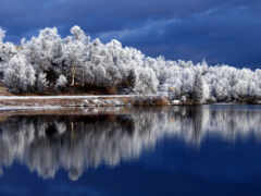 озеро, зима, лес