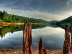 есть озеро с несколькими бревнами, торчащими из него