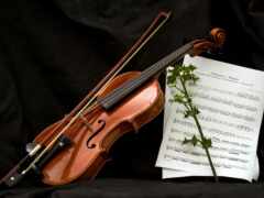 скрипка, нота, музыка