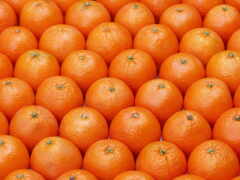 naranja, comprar, tangerine