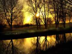 деревья отражаются в воде по мере захода солнца